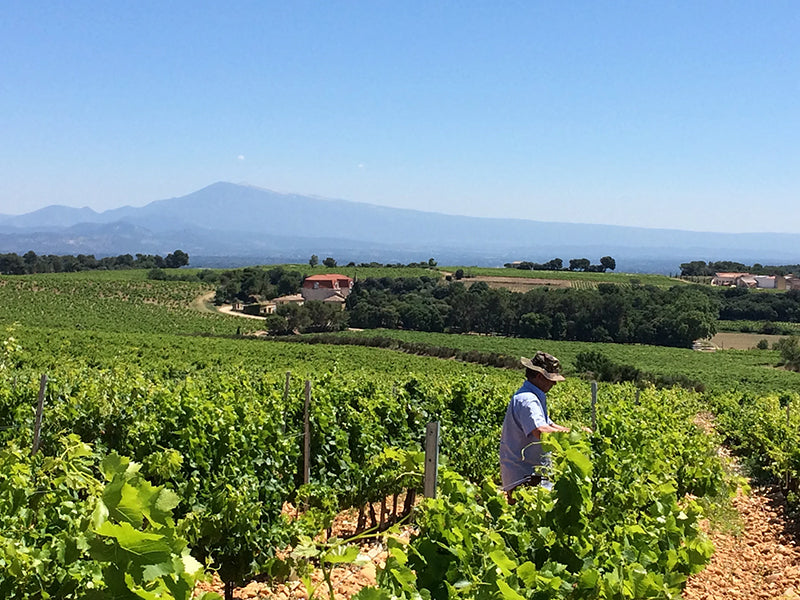 Domaine du Banneret