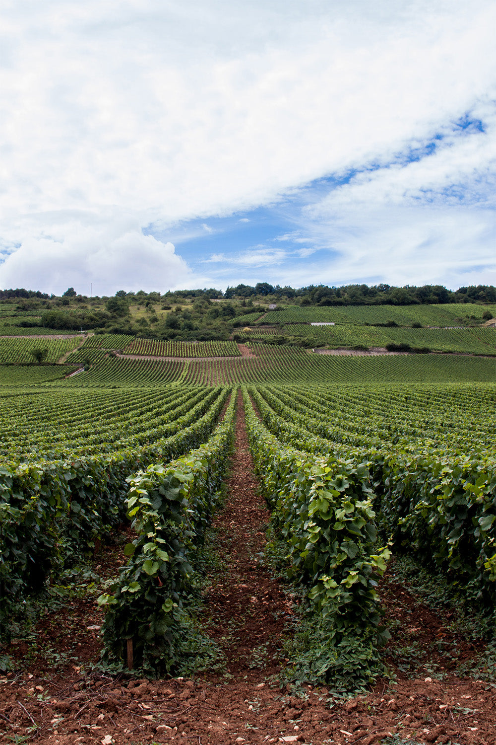 Burgundy, France