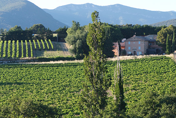 Domaine Gramenon