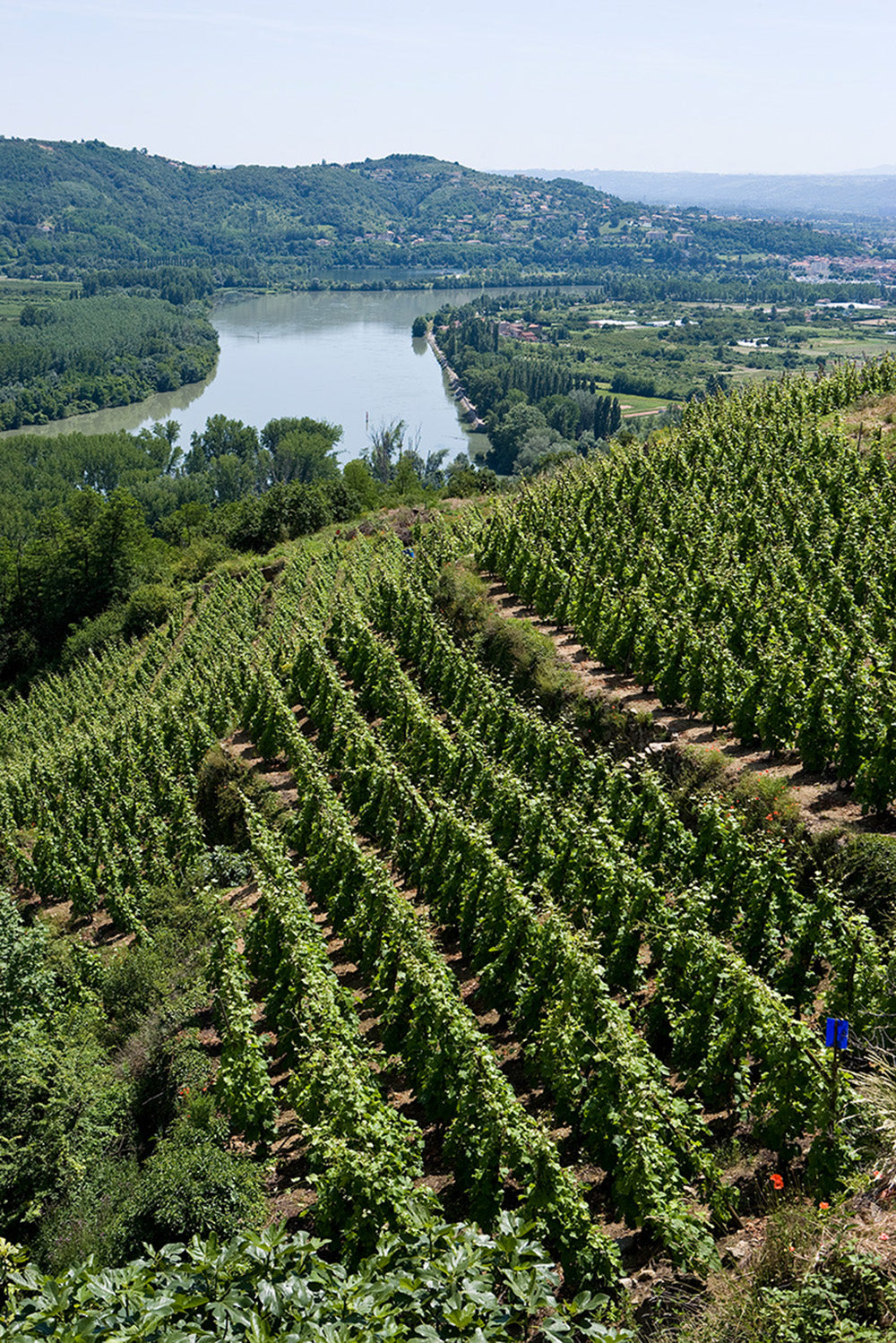 Rhone Valley, France