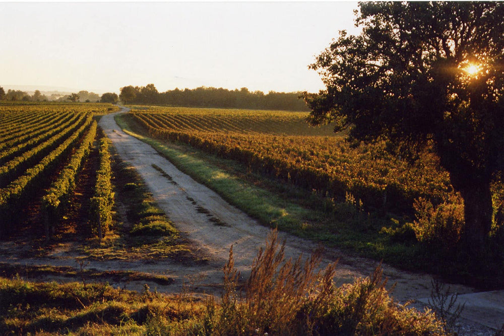 Domaine Tatin