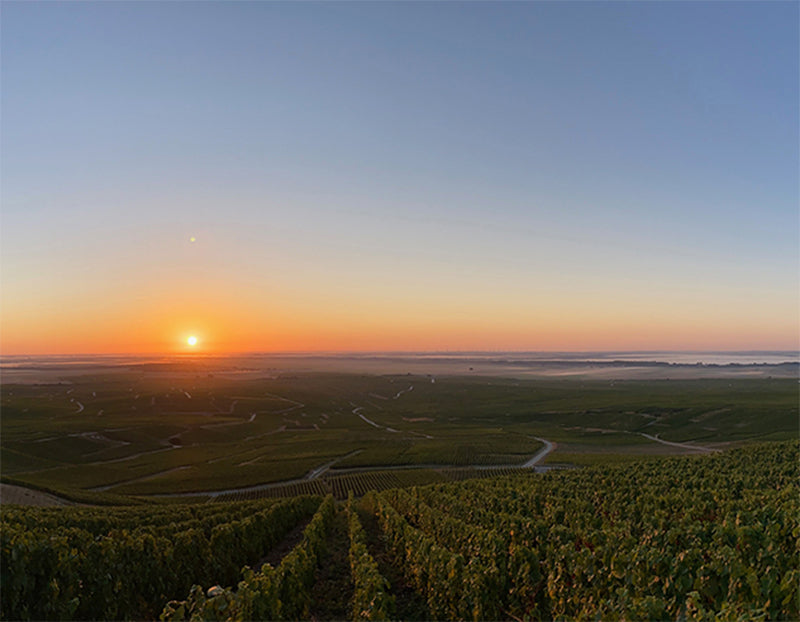 J.L Vergnon, Champagne, France