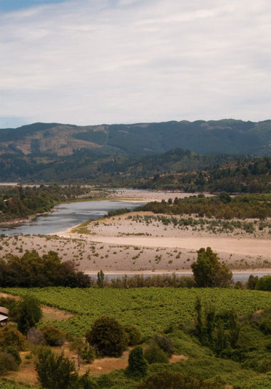 Maule, Chile - Osomm