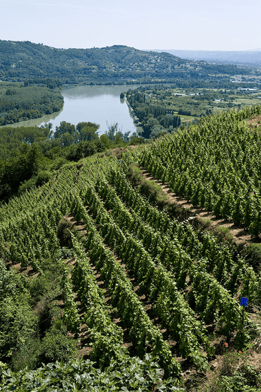 Rhone Valley, France - Osomm