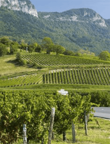 Savoie, France - Osomm