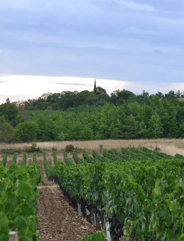 South West, France - Osomm