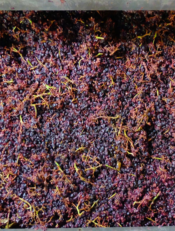 Maxime francois savoir faire image