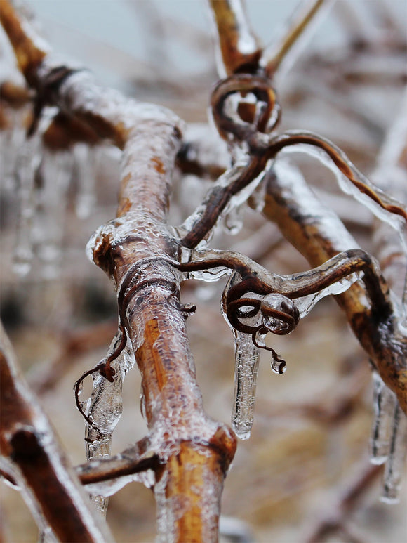 Banneret savoir faire image 78b7c20c 9216 49b5 8a3b 991592fb79b9