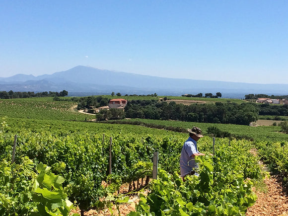 Banneret summary image