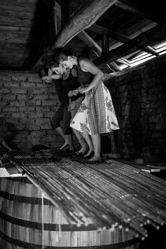 Bastias savoir faire image