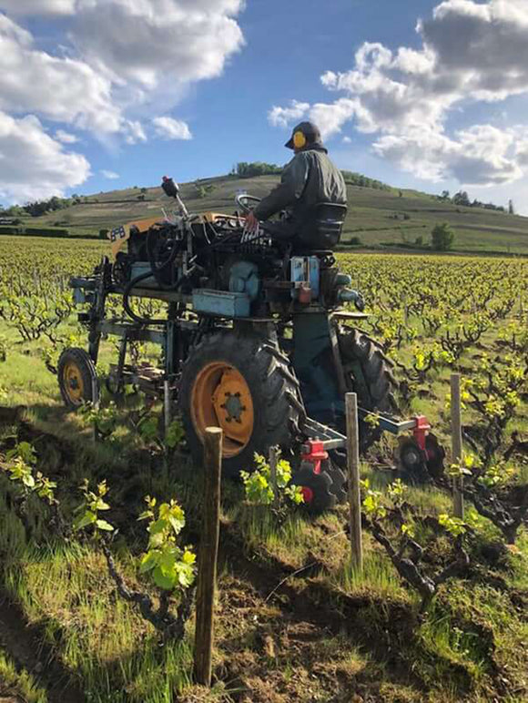 Chanrion terroir image