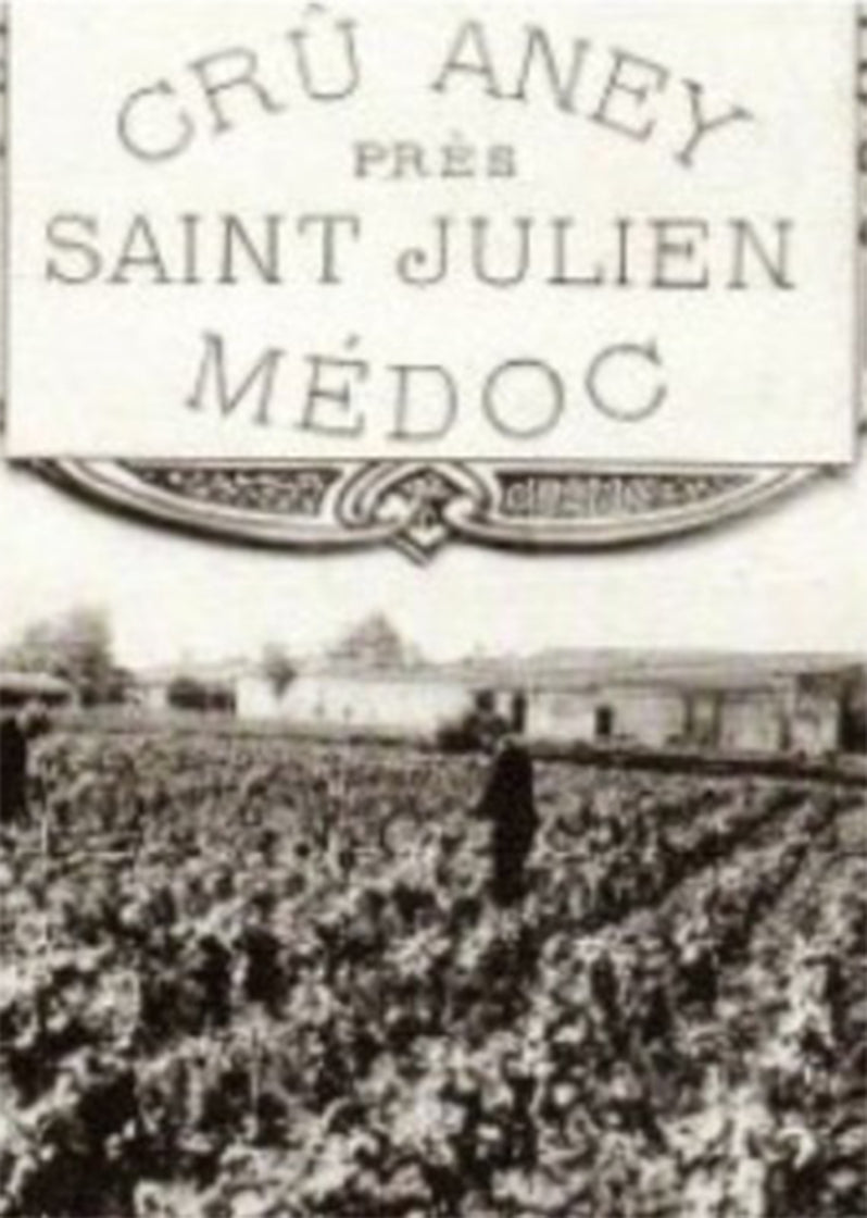 Sam Aney Chateau Aney | Osomm Wine