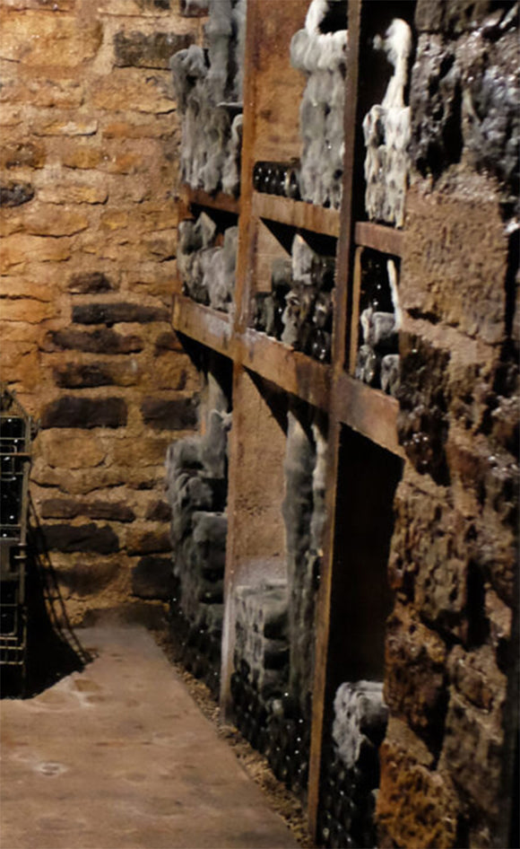 Claude dugat savoir faire image