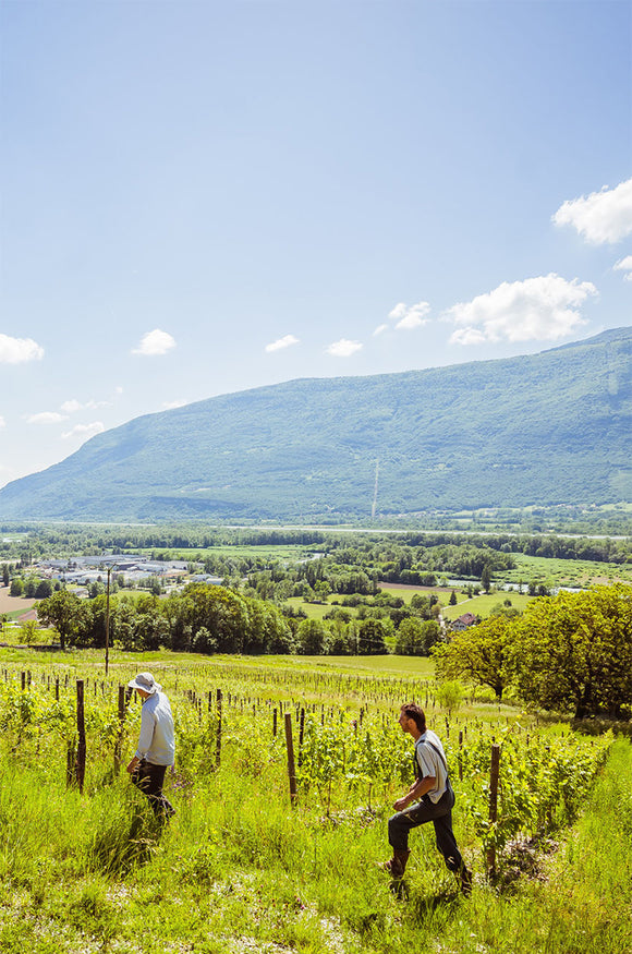 Curtet savoir faire image