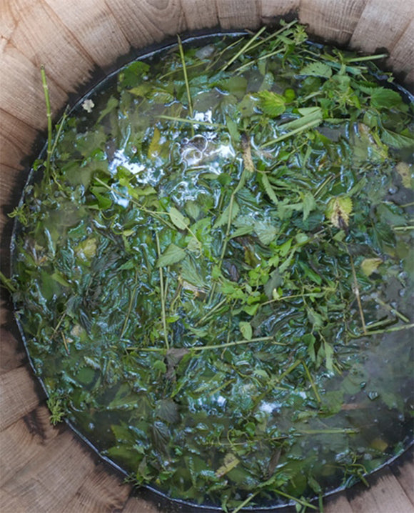 Gramenon savoir faire image