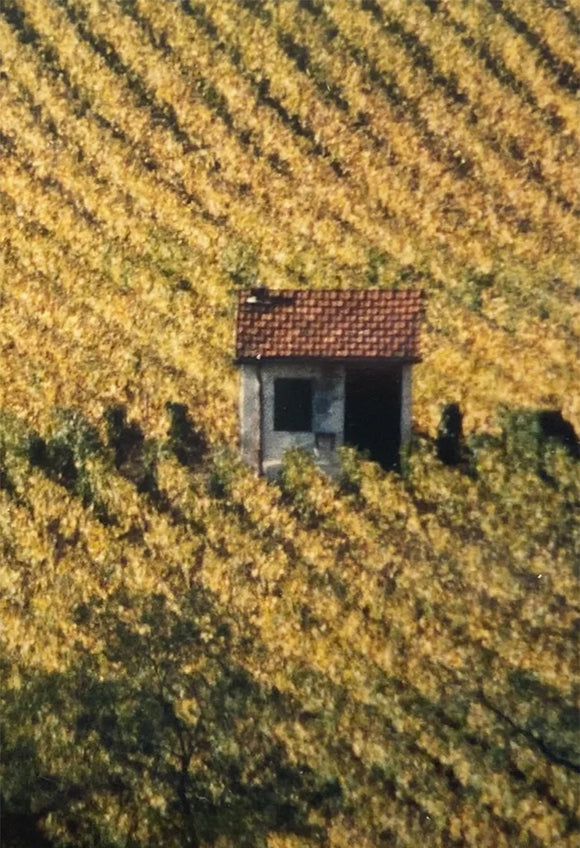 Gros ch history image