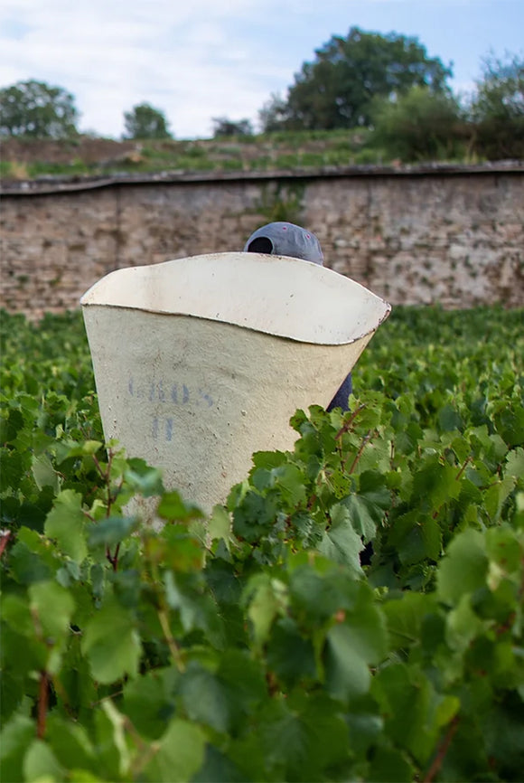 Gros ch terroir image