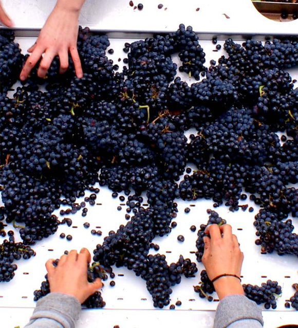 Image savoir faire f71fc1b0 dbdf 4319 a0e4 395a1dfe12f6