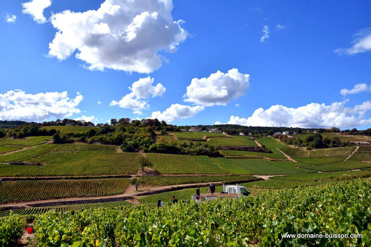 Domaine Henri & Gilles Buisson