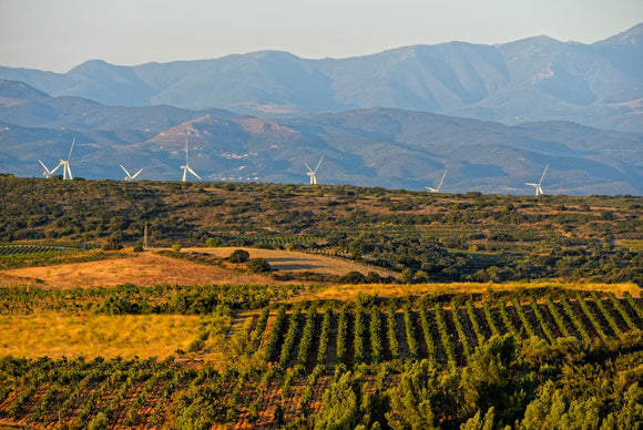 Image summary 82798c85 a9cf 416c 8faa 6341cafe5c0b