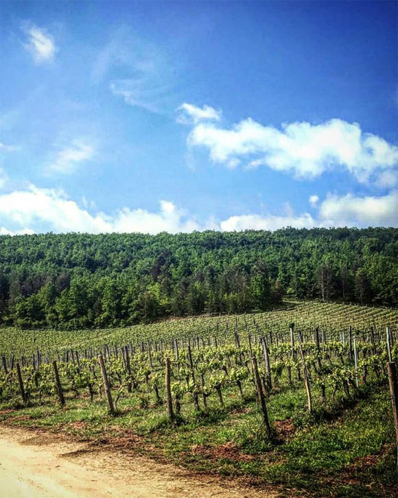 Image terroir 802266b0 89bd 4f41 8182 a448d7b6601c