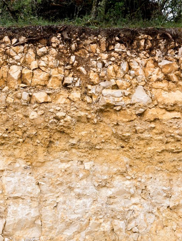 Jouves image terroir