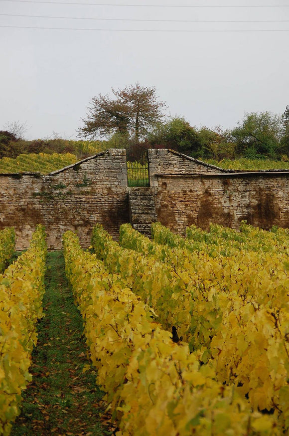 Julien gros image terroir