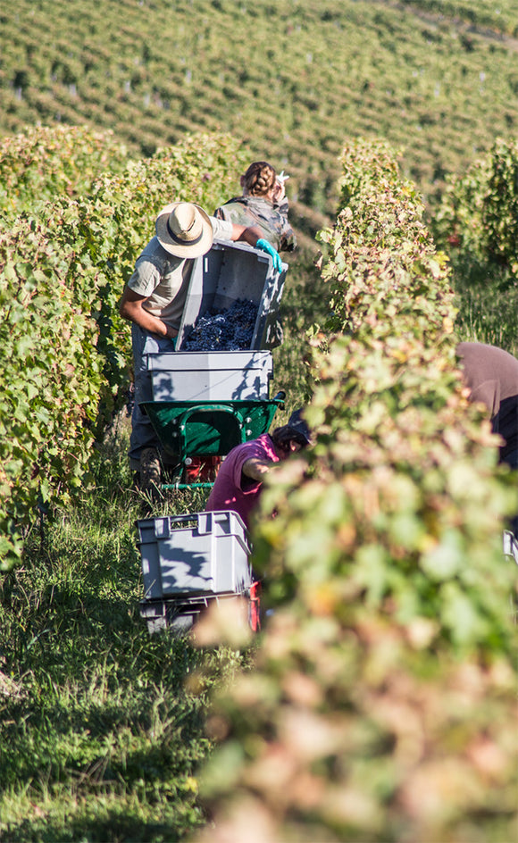 Maison blanche terroir image