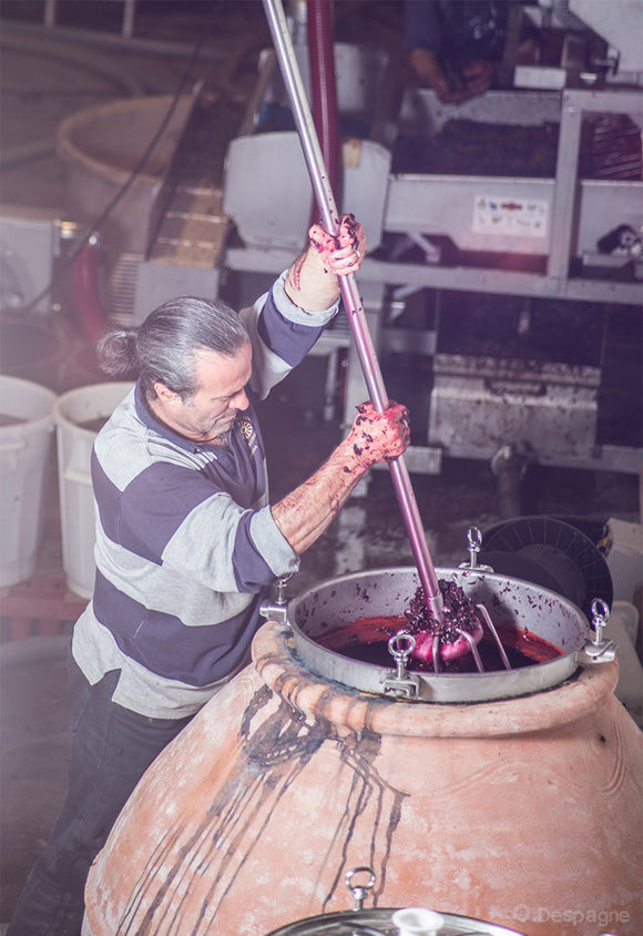 Maison blanche savoir faire image