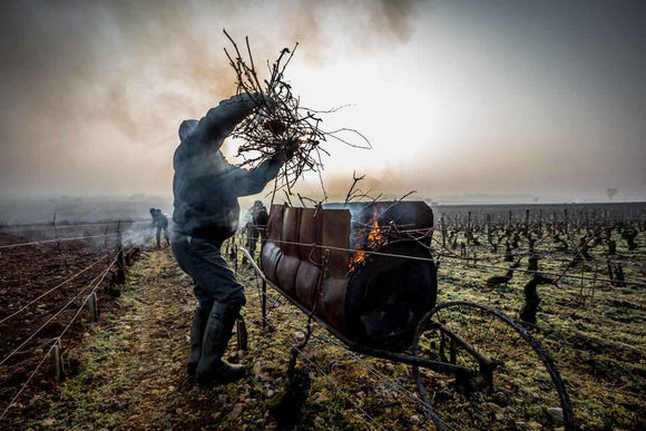 Mikulski summary image