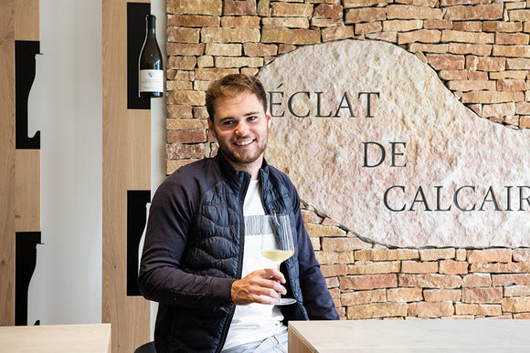 Pierre girardin image summary