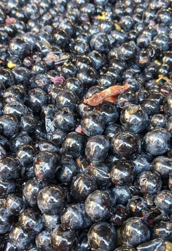 Plaisance savoir faire image