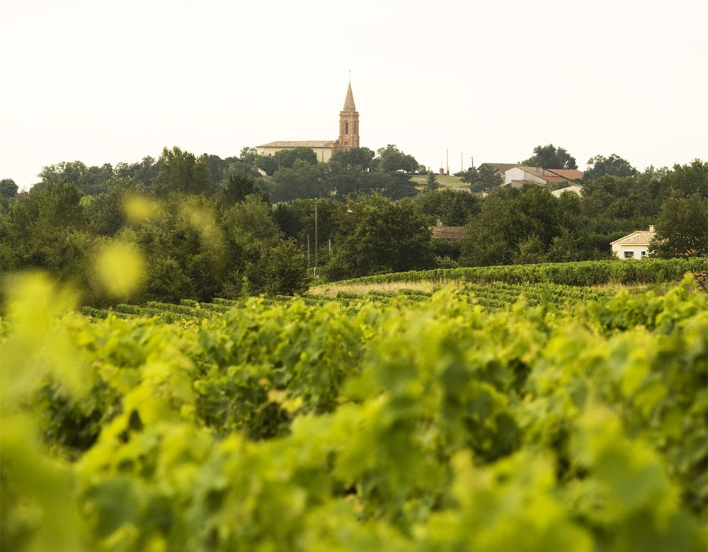 Domaine Plaisance Penavayre