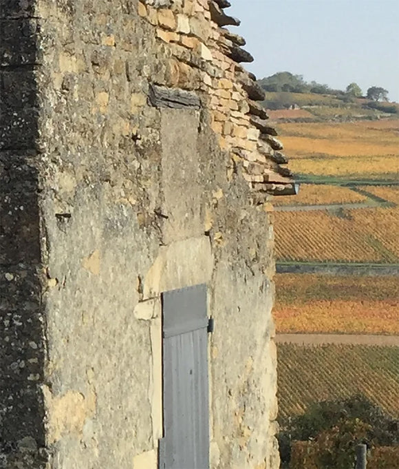 Reburgeon image history