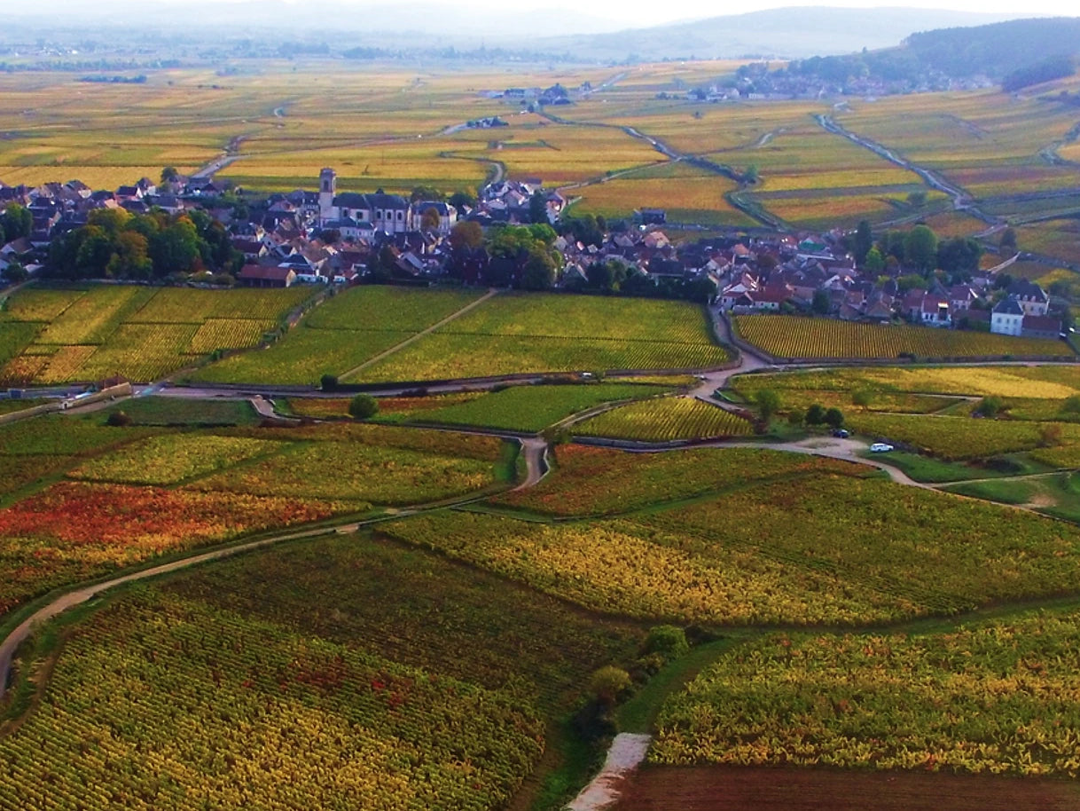 Domaine Michel Rebourgeon