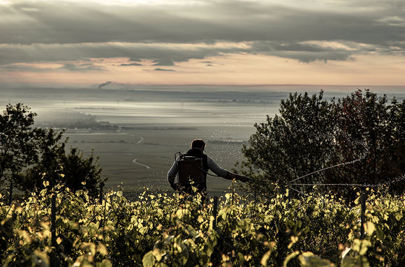 Stephane regnault summary image