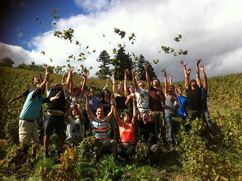 Summary sunier image