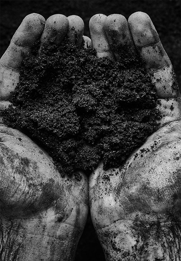 Vergnon savoir faire