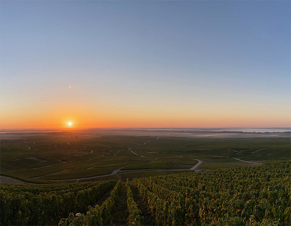 Vergnon summary image