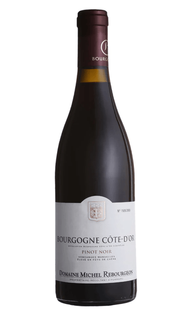 Domaine Michel Rebourgeon Bourgogne Rouge 2022 - Osomm