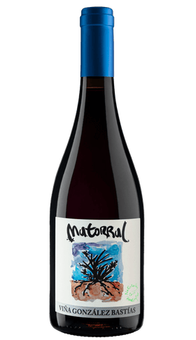 Gonzales Bastias Matorral 2017 - Osomm