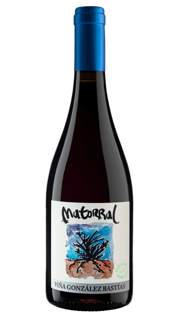 Gonzales Bastias Matorral 2017 - Osomm