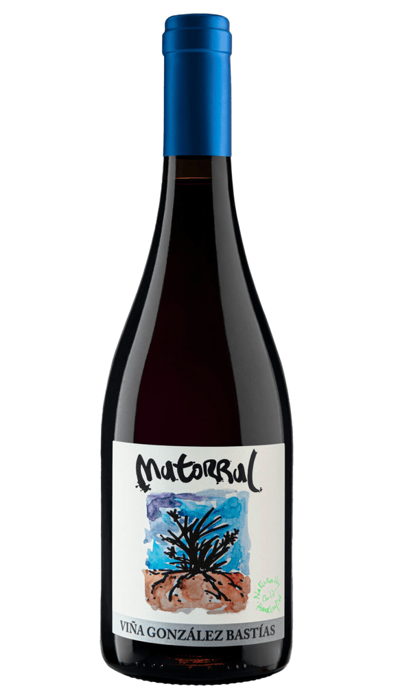 Gonzales Bastias Matorral 2017 - Osomm