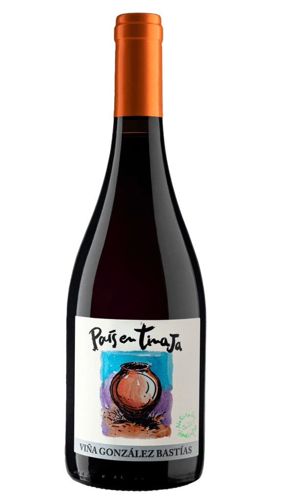 Gonzales Bastias Pais en Tinaja 2017 - Osomm